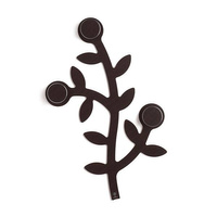 Wenge